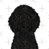 flat750x075f pad750x750f8f8f8 - Goldendoodle Stuff