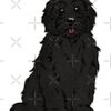 flat750x075f pad750x750f8f8f8 14 - Goldendoodle Stuff