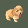 flat750x075f pad750x750f8f8f8 24 - Goldendoodle Stuff