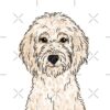 flat750x075f pad750x750f8f8f8 4 - Goldendoodle Stuff