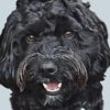 flat750x075f pad750x750f8f8f8 7 - Goldendoodle Stuff
