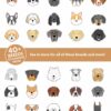 il 1000xN.3422560237 3lhq - Goldendoodle Stuff