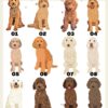 il 1000xN.4765475240 ck22 - Goldendoodle Stuff