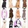 il 1000xN.4765475242 1z24 - Goldendoodle Stuff