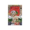 il 1000xN.5408615430 f3i5 - Goldendoodle Stuff