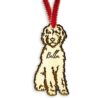 il 1000xN.5488918760 3jo1 - Goldendoodle Stuff