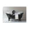 il 1000xN.5747432553 tsok - Goldendoodle Stuff