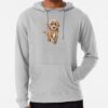 ssrcolightweight hoodiemensheather greyfrontsquare productx1000 bgf8f8f8 24 - Goldendoodle Stuff