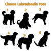 il 1000xN.5993442108 tgyt - Goldendoodle Stuff