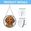 il 1000xN.6205052856 bvtx - Goldendoodle Stuff